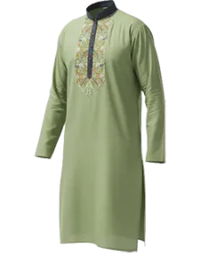 Panjabi category image