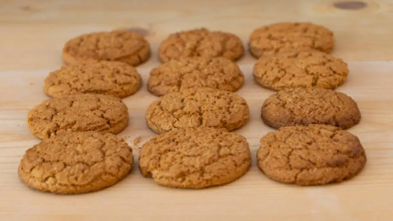 biscuit